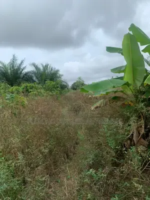 Registered Litigation Free Plots of Land for Sale.