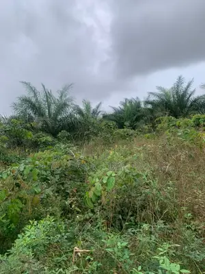 Registered Litigation Free Plots of Land for Sale.