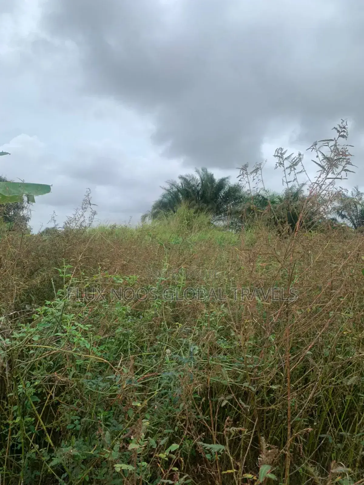 Registered Litigation Free Plots of Land for Sale.