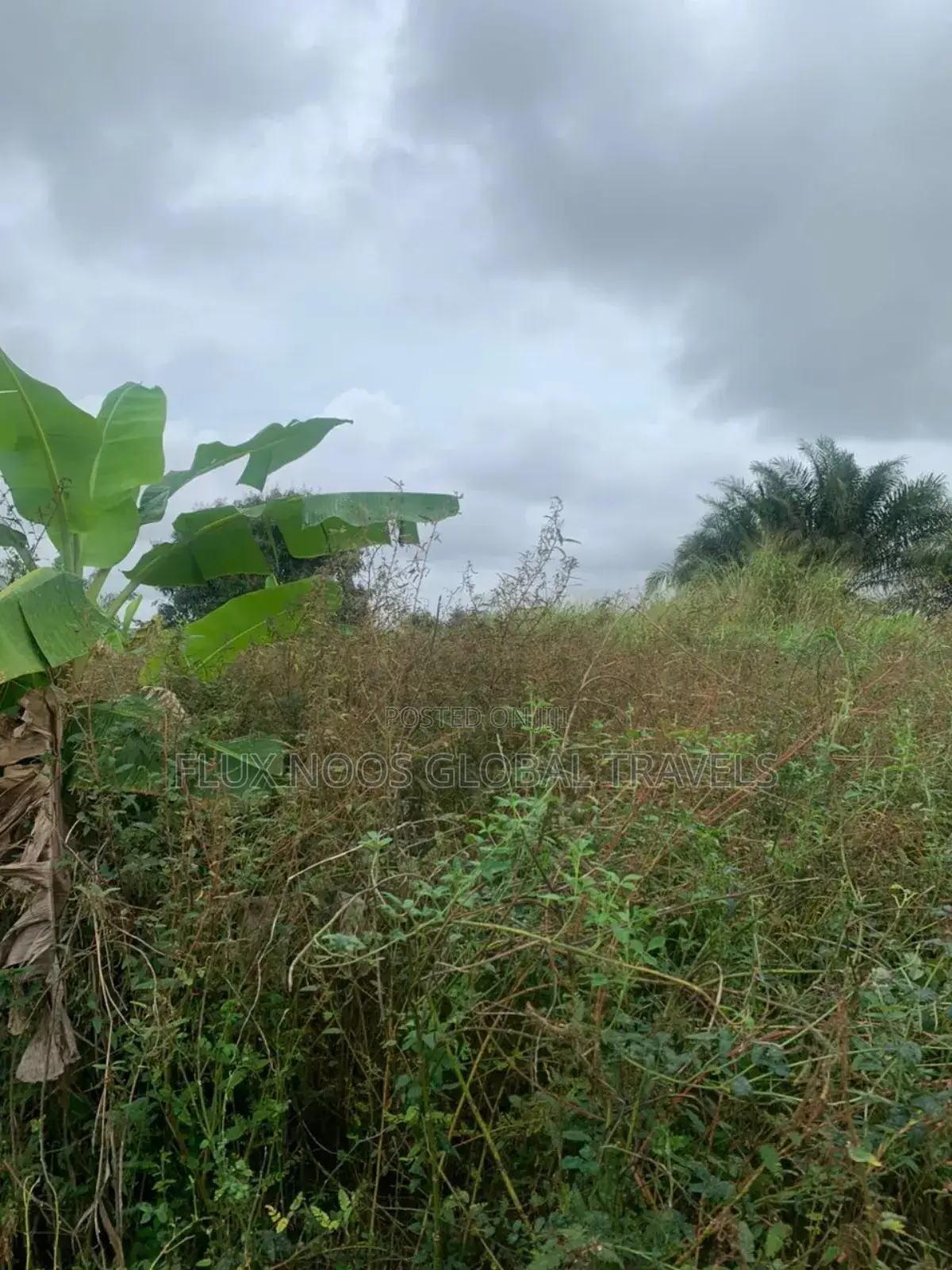 Registered Litigation Free Plots of Land for Sale.