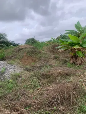 Registered and Walled Plots of Lands for Sale.