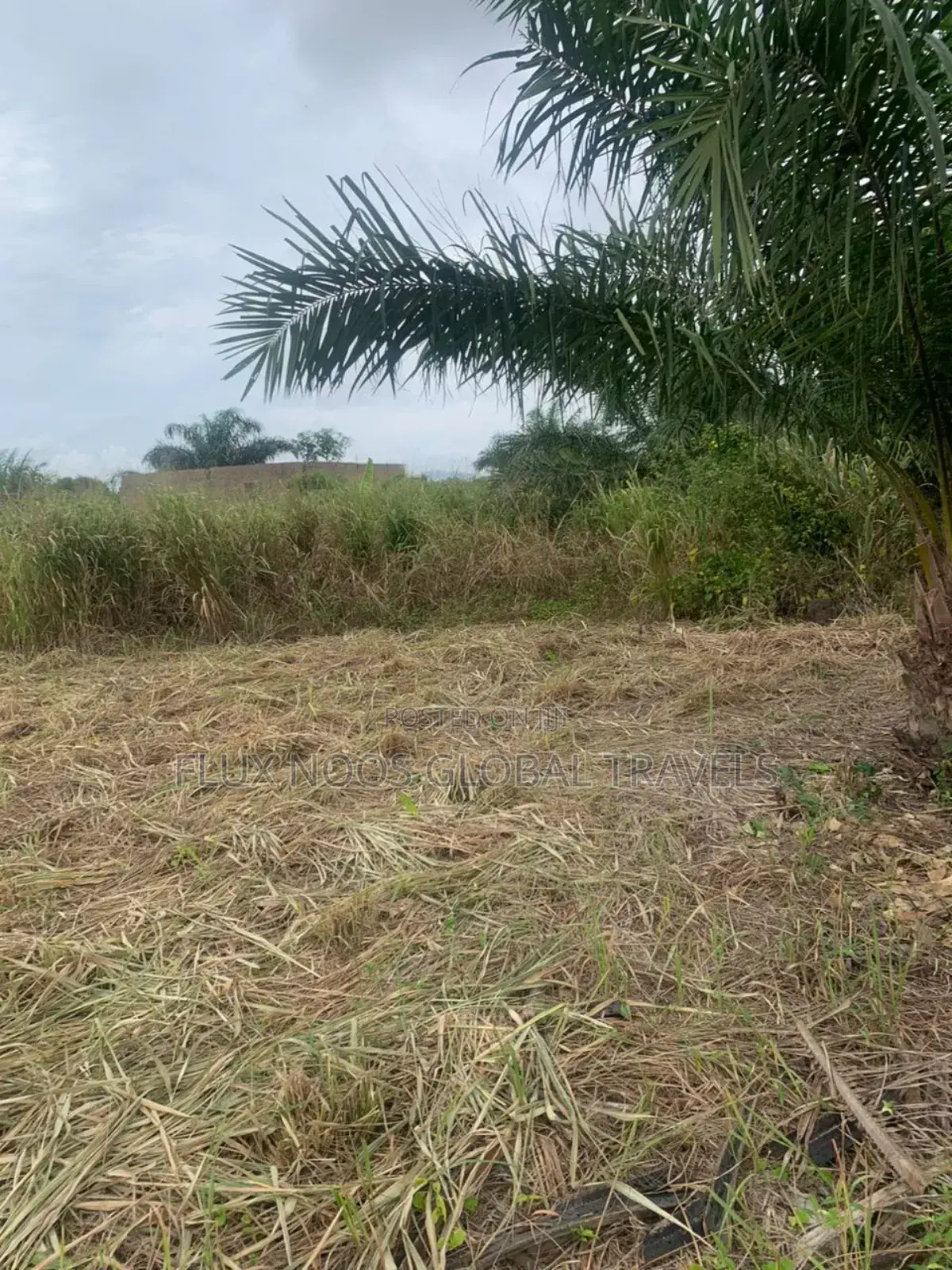 Registered and Walled Plots of Lands for Sale.