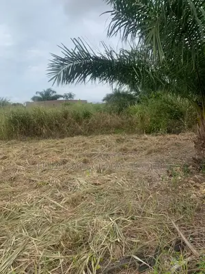Registered and Walled Plots of Lands for Sale.