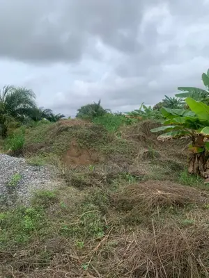 Registered and Walled Plots of Lands for Sale.