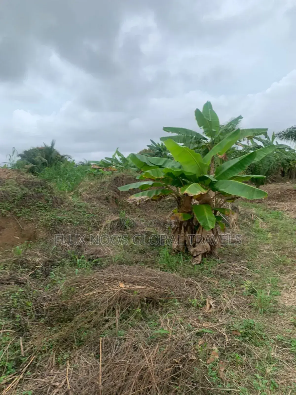Serviced Lands for Sale at Amasaman Ayikai Doblo.