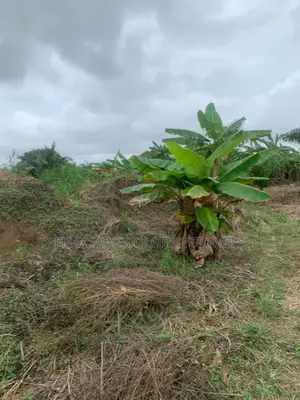 Serviced Lands for Sale at Amasaman Ayikai Doblo.