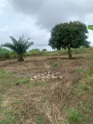 Serviced Lands for Sale at Amasaman Ayikai Doblo.