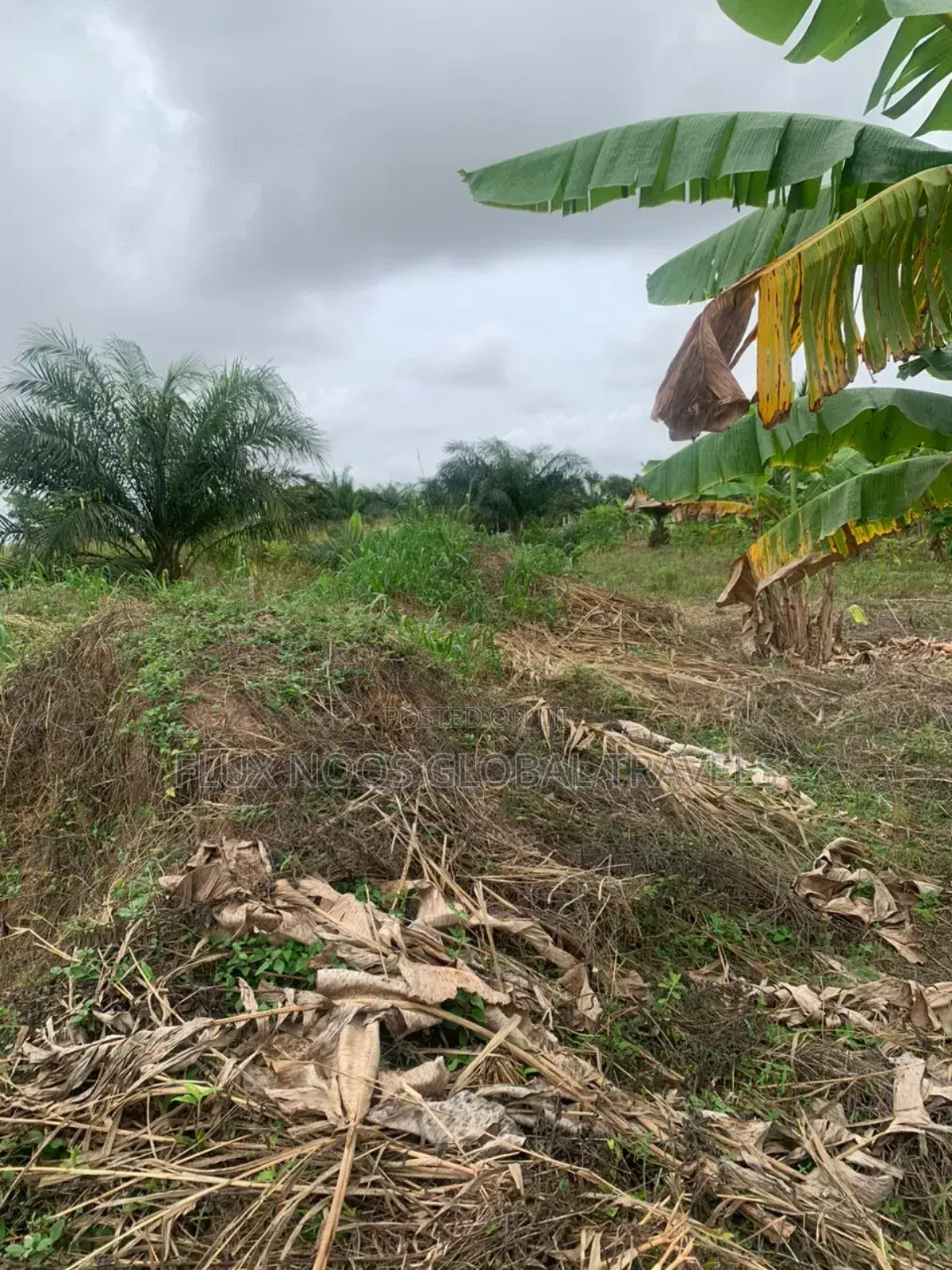 Serviced Lands for Sale at Amasaman Ayikai Doblo.