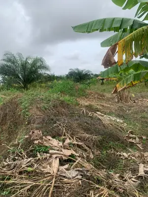 Serviced Lands for Sale at Amasaman Ayikai Doblo.