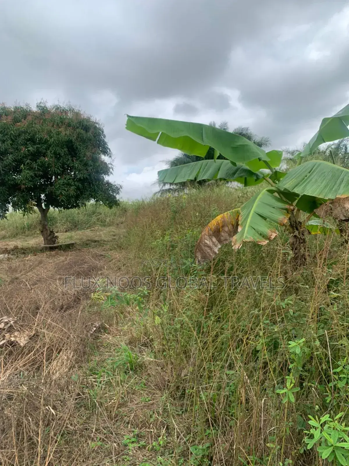 Serviced Lands for Sale at Amasaman Ayikai Doblo.