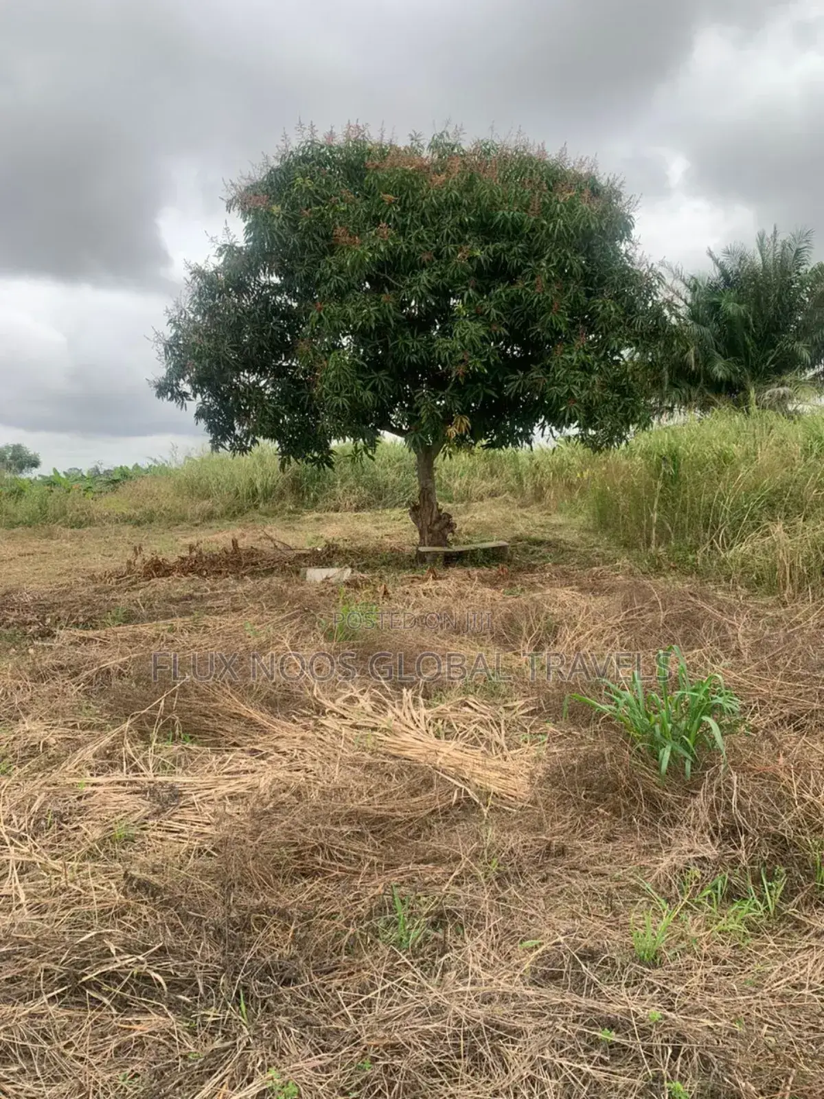 Genuine Lands Available for Sale. No Litigation.