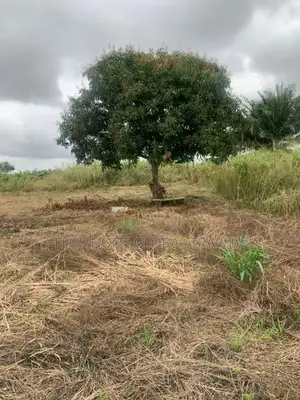Genuine Lands Available for Sale. No Litigation.