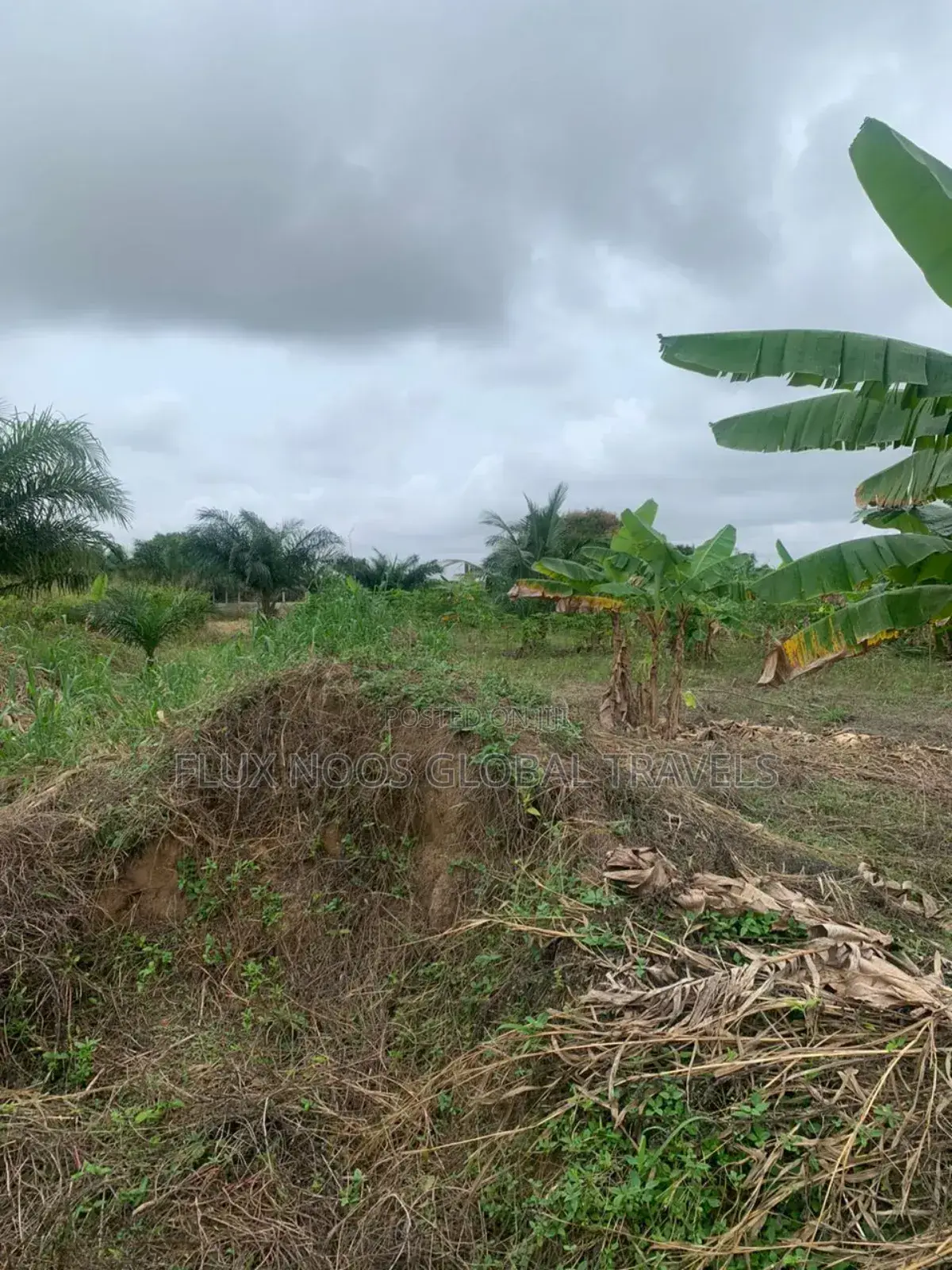 Genuine Lands Available for Sale. No Litigation.