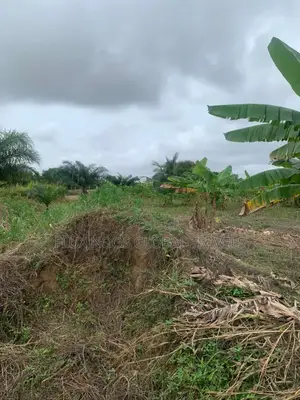 Genuine Lands Available for Sale. No Litigation.