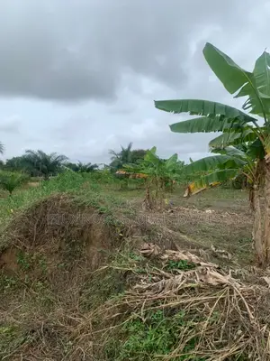 Genuine Lands Available for Sale. No Litigation.