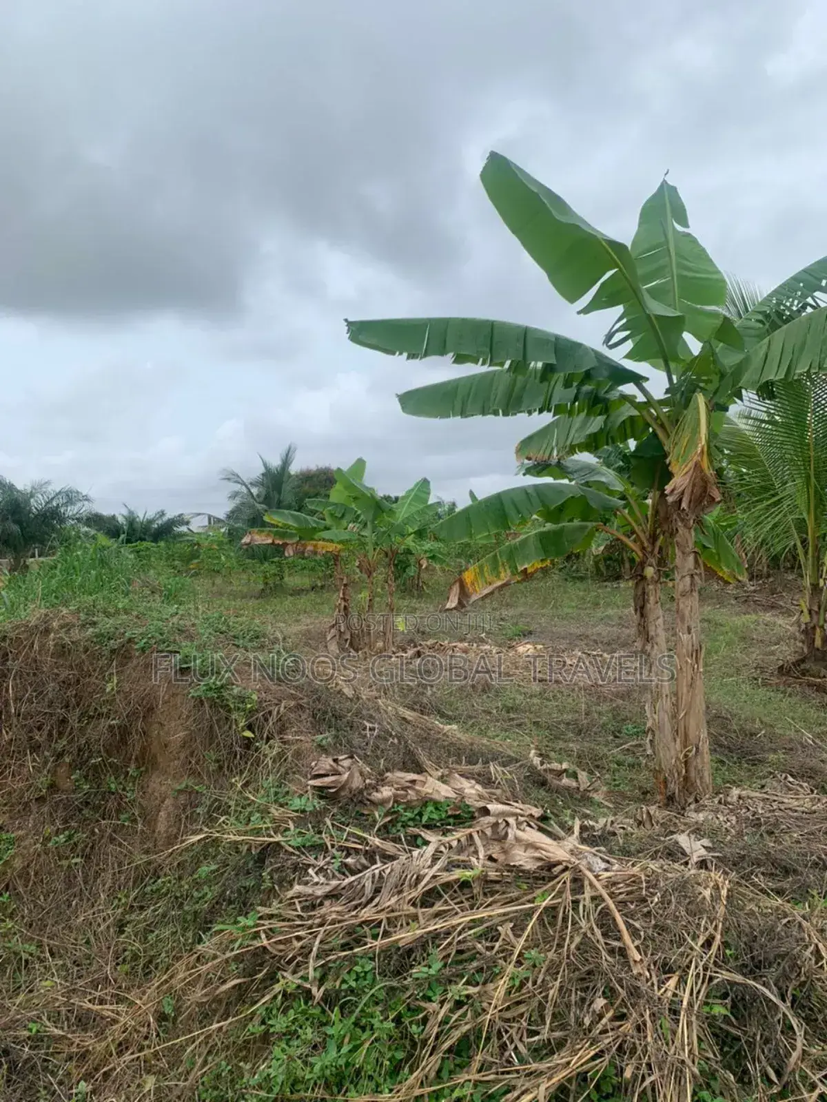 Genuine Lands Available for Sale. No Litigation.