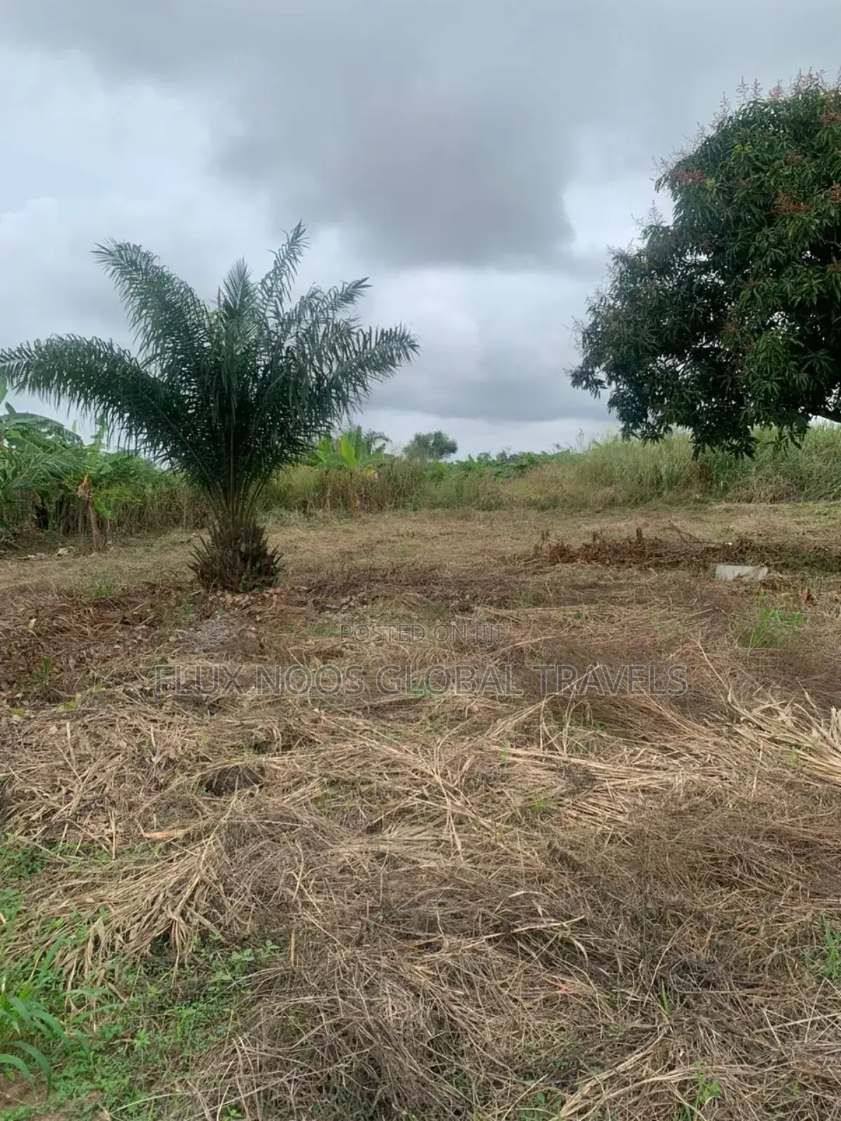 Car for Land Deal Plots of Lands for Sale. Walled and Gated.