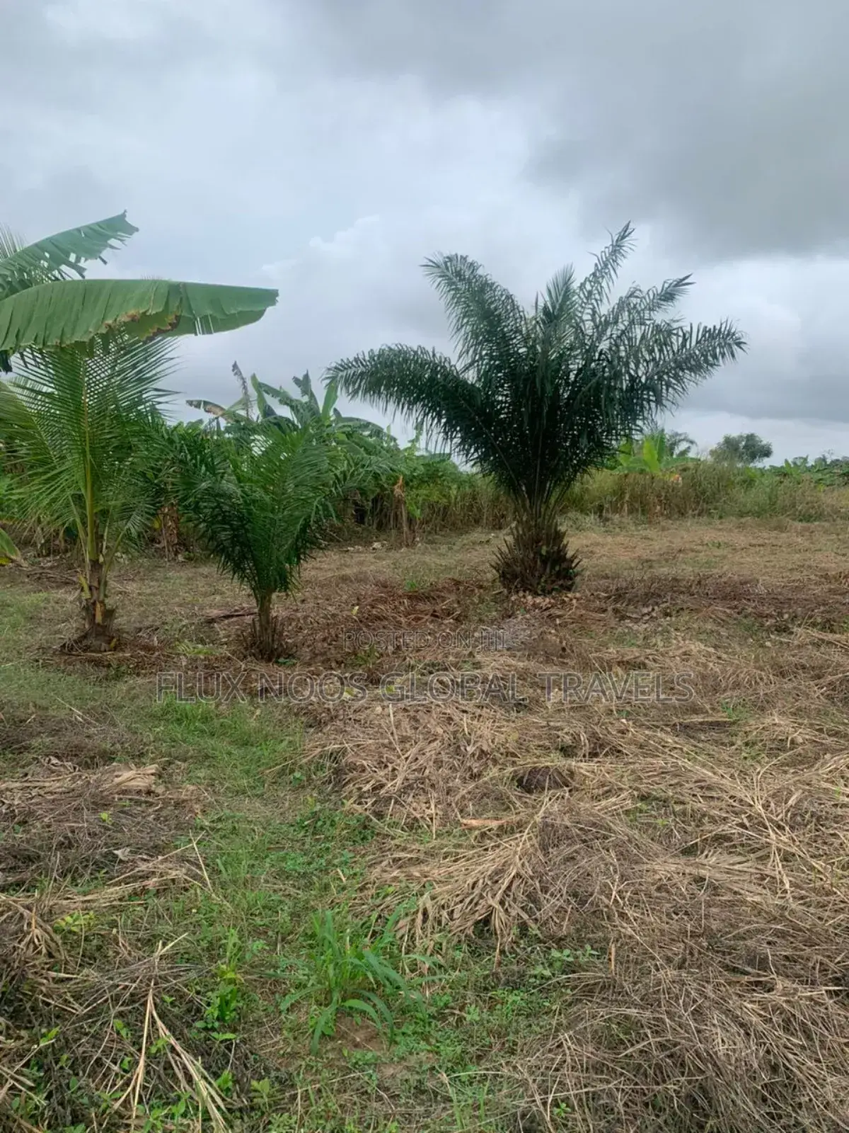 Car for Land Deal Plots of Lands for Sale. Walled and Gated.