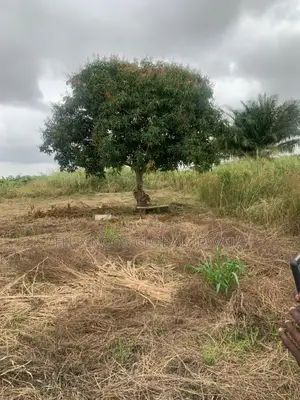 Car for Land Deal Plots of Lands for Sale. Walled and Gated.