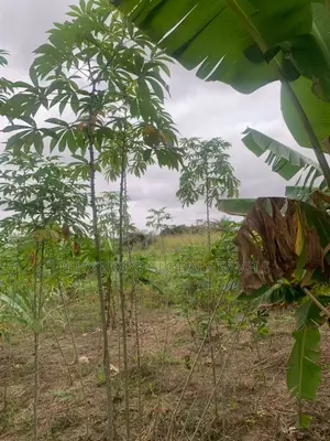 Car for Land Deal Plots of Lands for Sale. Walled and Gated.