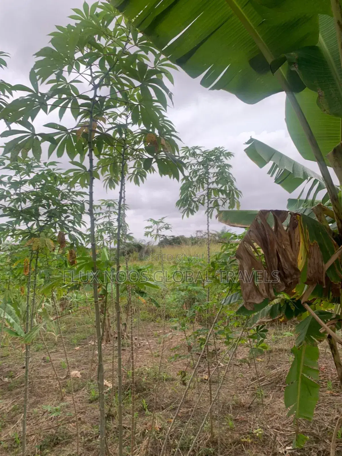 Fenced Land for Sale at Amasaman Ayikai Doblo