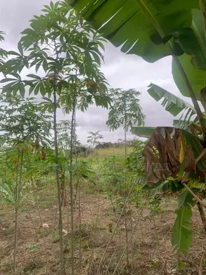 Fenced Land for Sale at Amasaman Ayikai Doblo