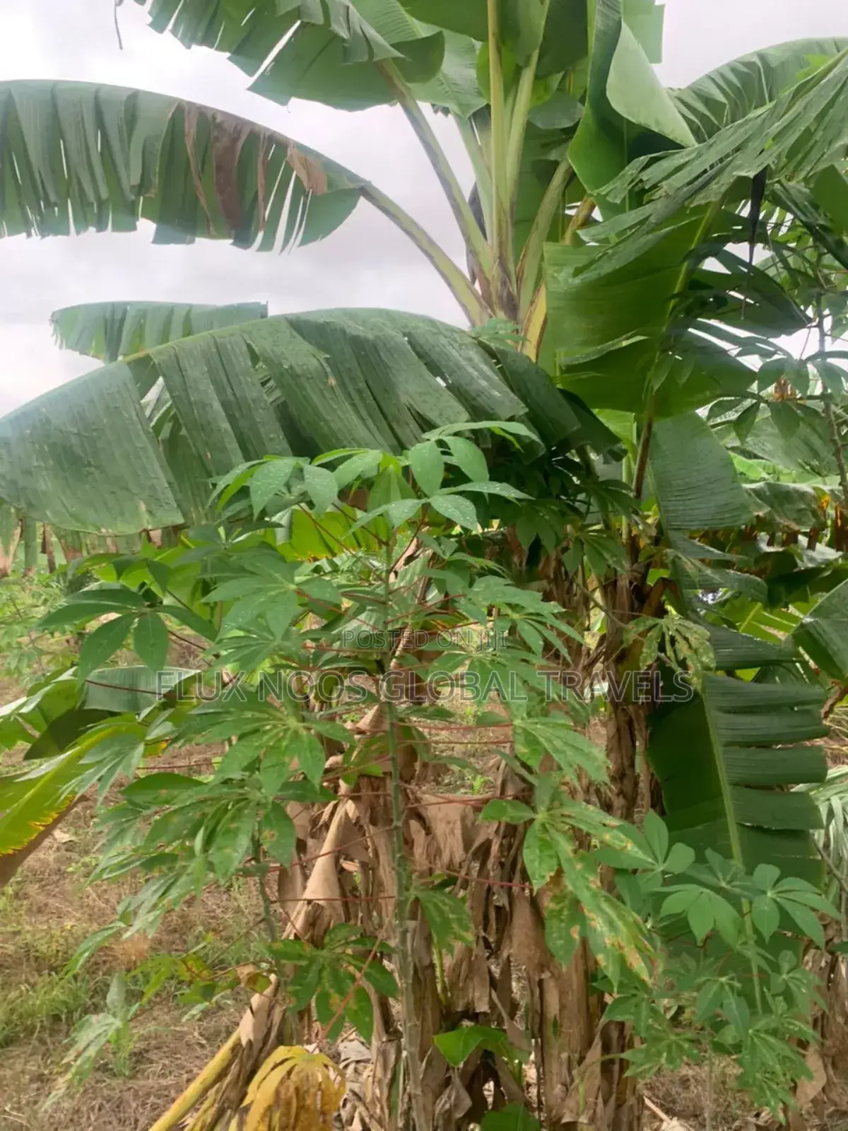 Fenced Land for Sale at Amasaman Ayikai Doblo