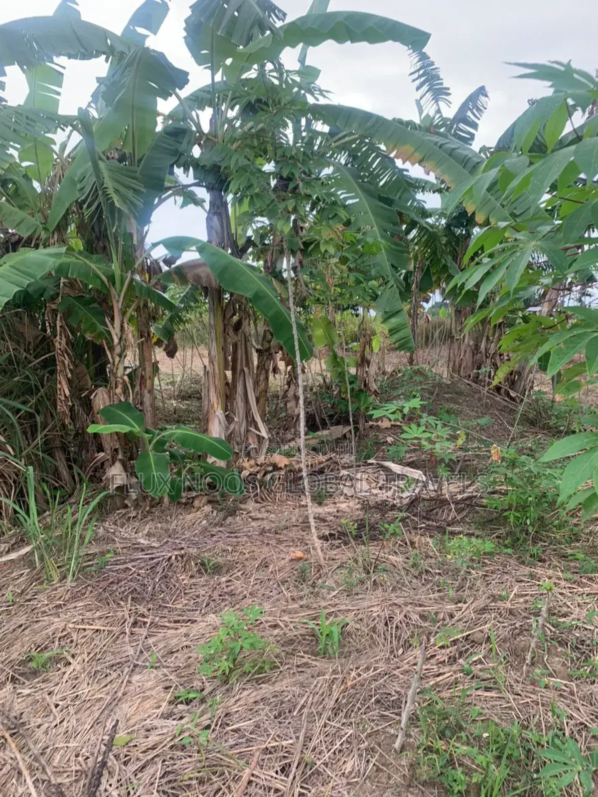 Fenced Land for Sale at Amasaman Ayikai Doblo