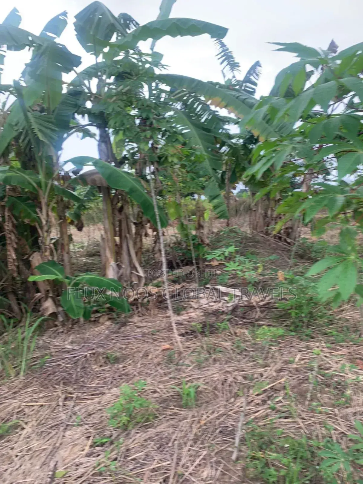 Fenced Land for Sale at Amasaman Ayikai Doblo