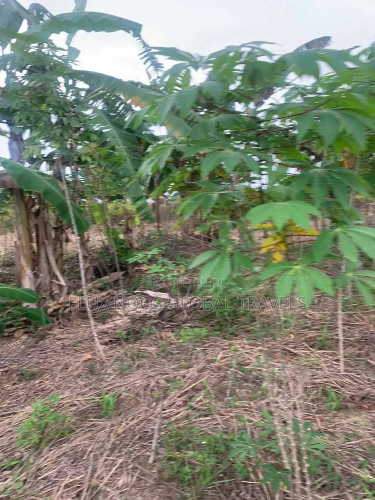 Fenced Land for Sale at Amasaman Ayikai Doblo