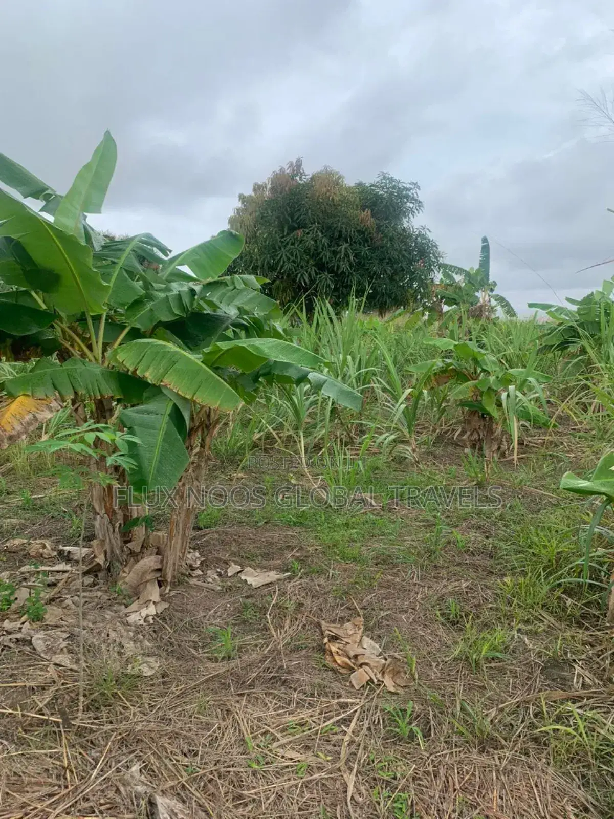 Fenced Genuine Plots of Lands for Sale.