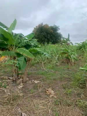 Fenced Genuine Plots of Lands for Sale.