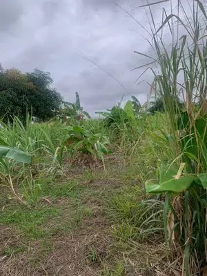 Fenced Genuine Plots of Lands for Sale.