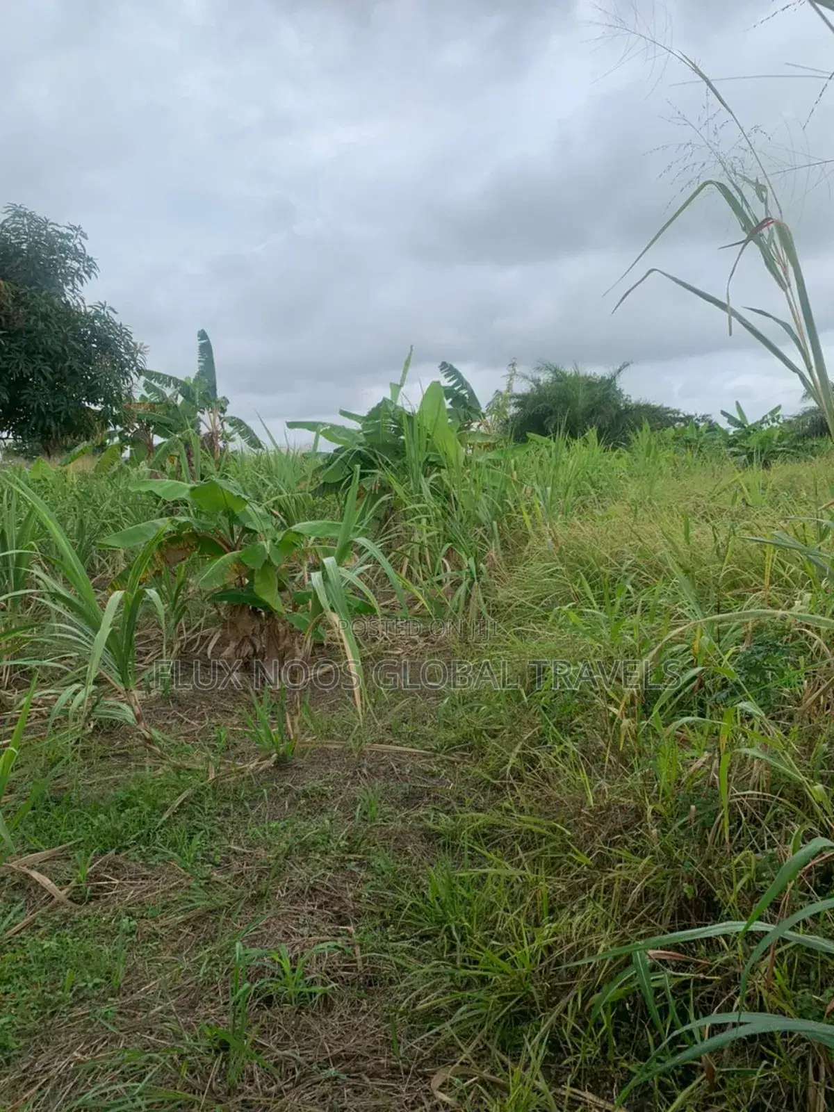 Fenced Genuine Plots of Lands for Sale.