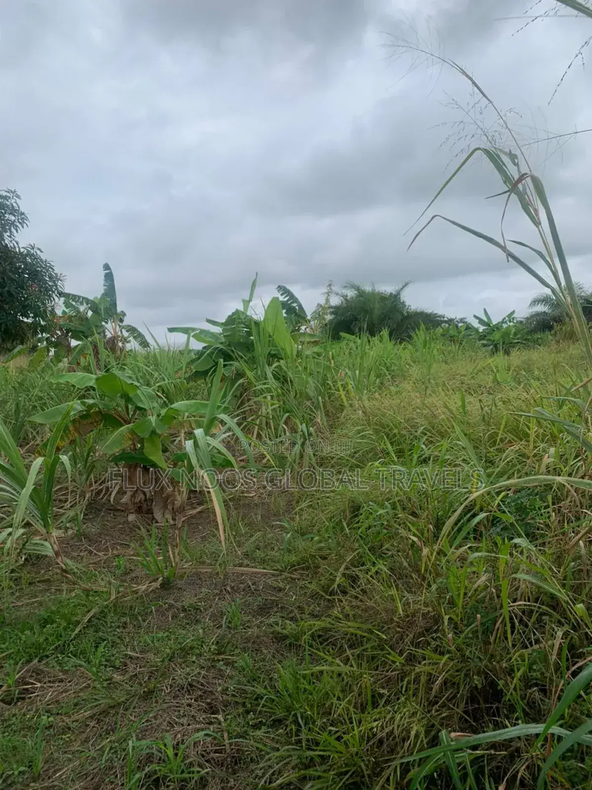 Fenced Genuine Plots of Lands for Sale.