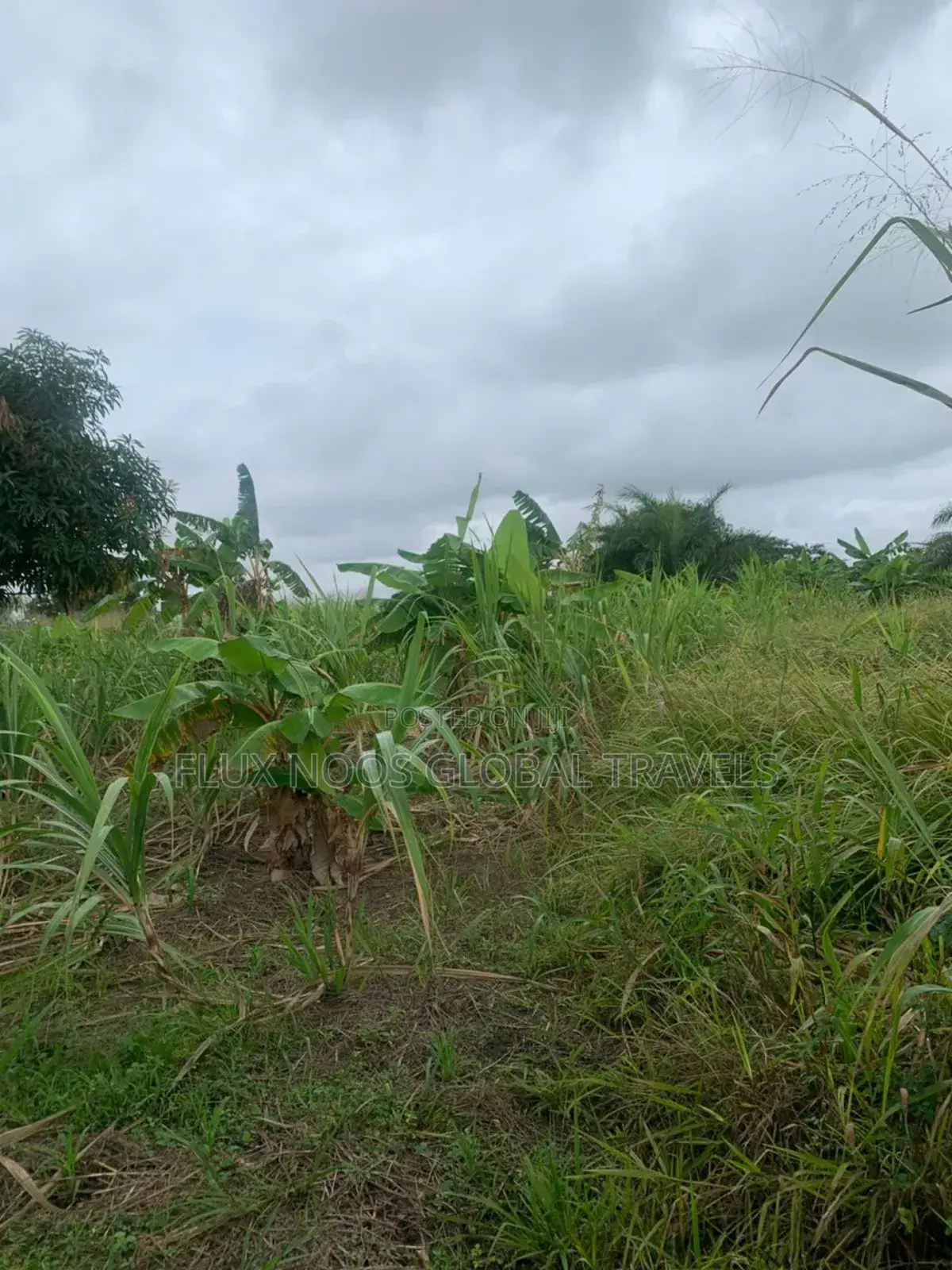 Fenced Genuine Plots of Lands for Sale.