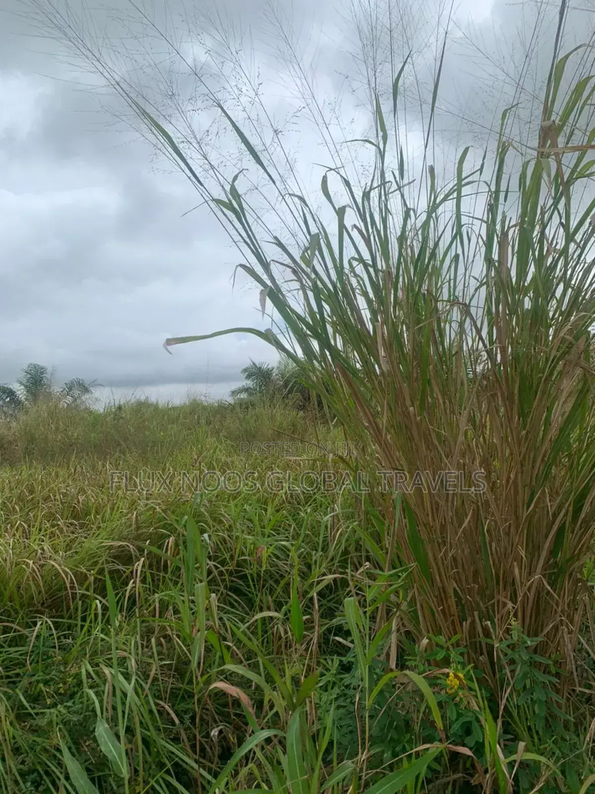 Litigation Free Land for Sale in Accra.