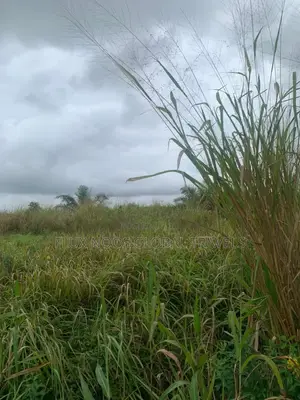Litigation Free Land for Sale in Accra.