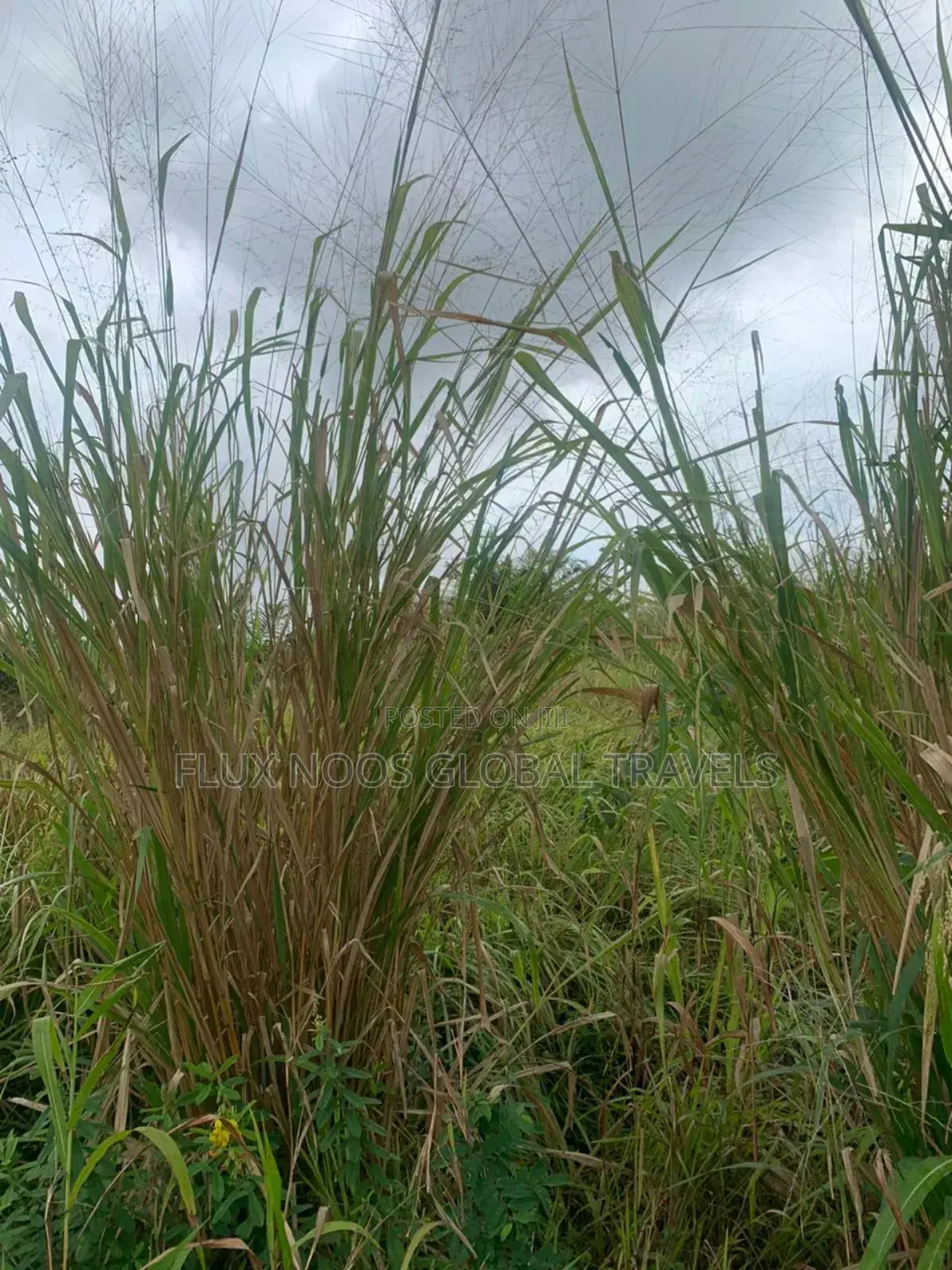 Litigation Free Land for Sale in Accra.
