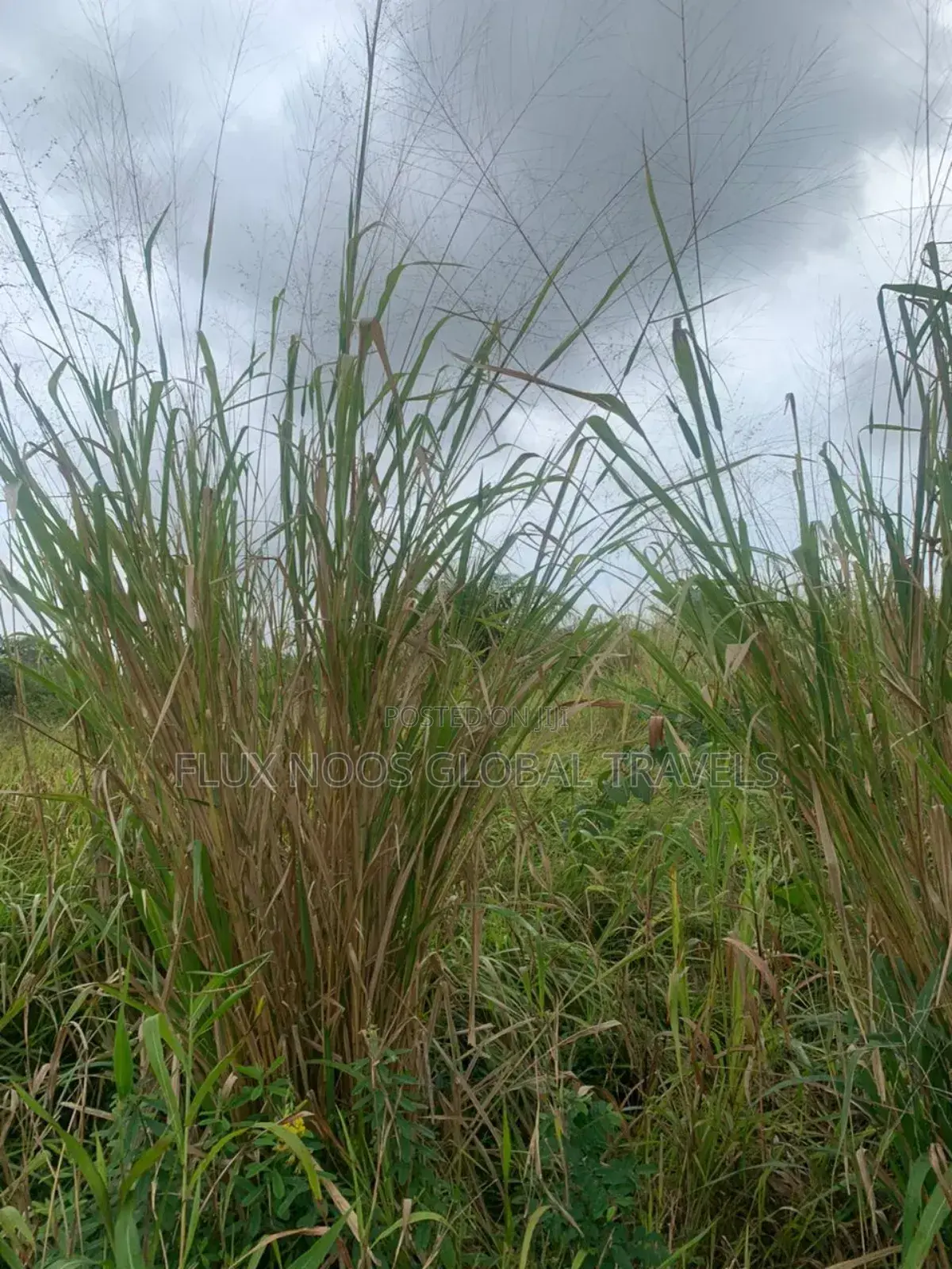 Litigation Free Land for Sale in Accra.
