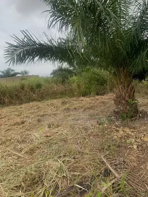 Litigation Free Land for Sale in Accra.