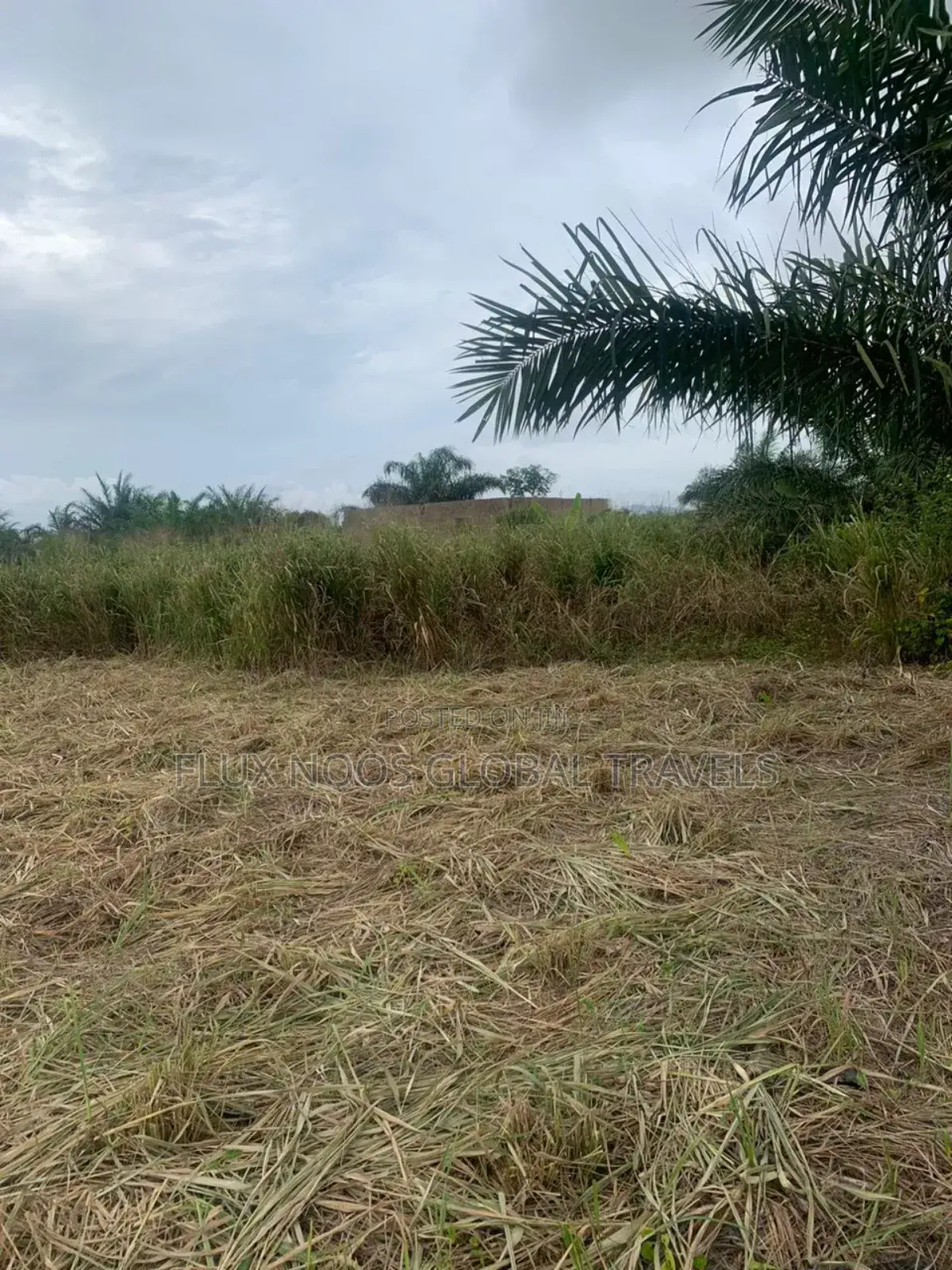 No Litigation Land Amasaman Land for Sale.