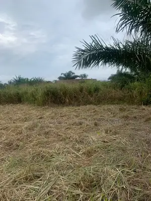No Litigation Land Amasaman Land for Sale.