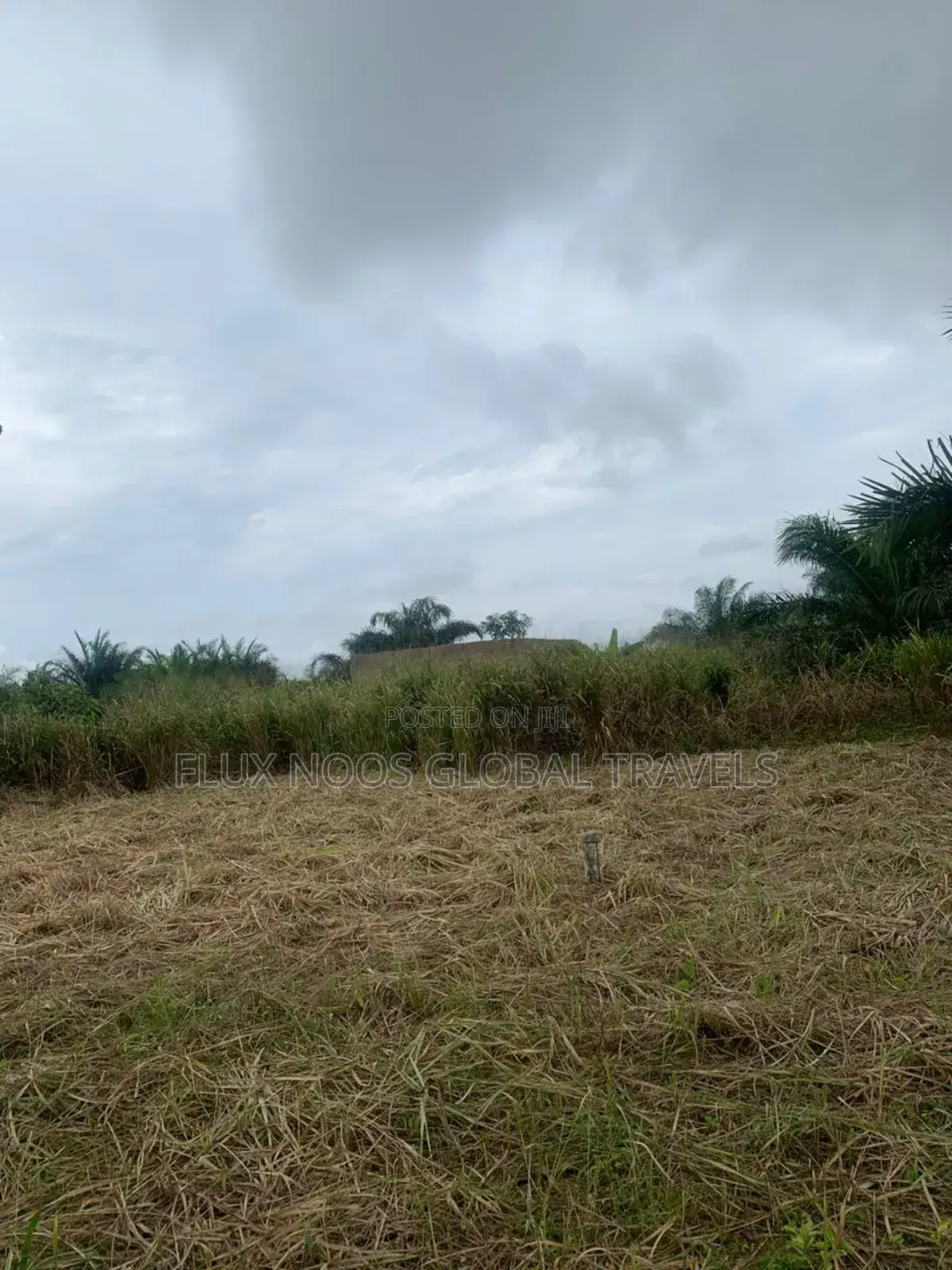No Litigation Land Amasaman Land for Sale.