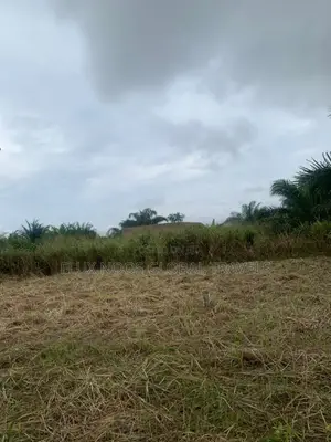 No Litigation Land Amasaman Land for Sale.