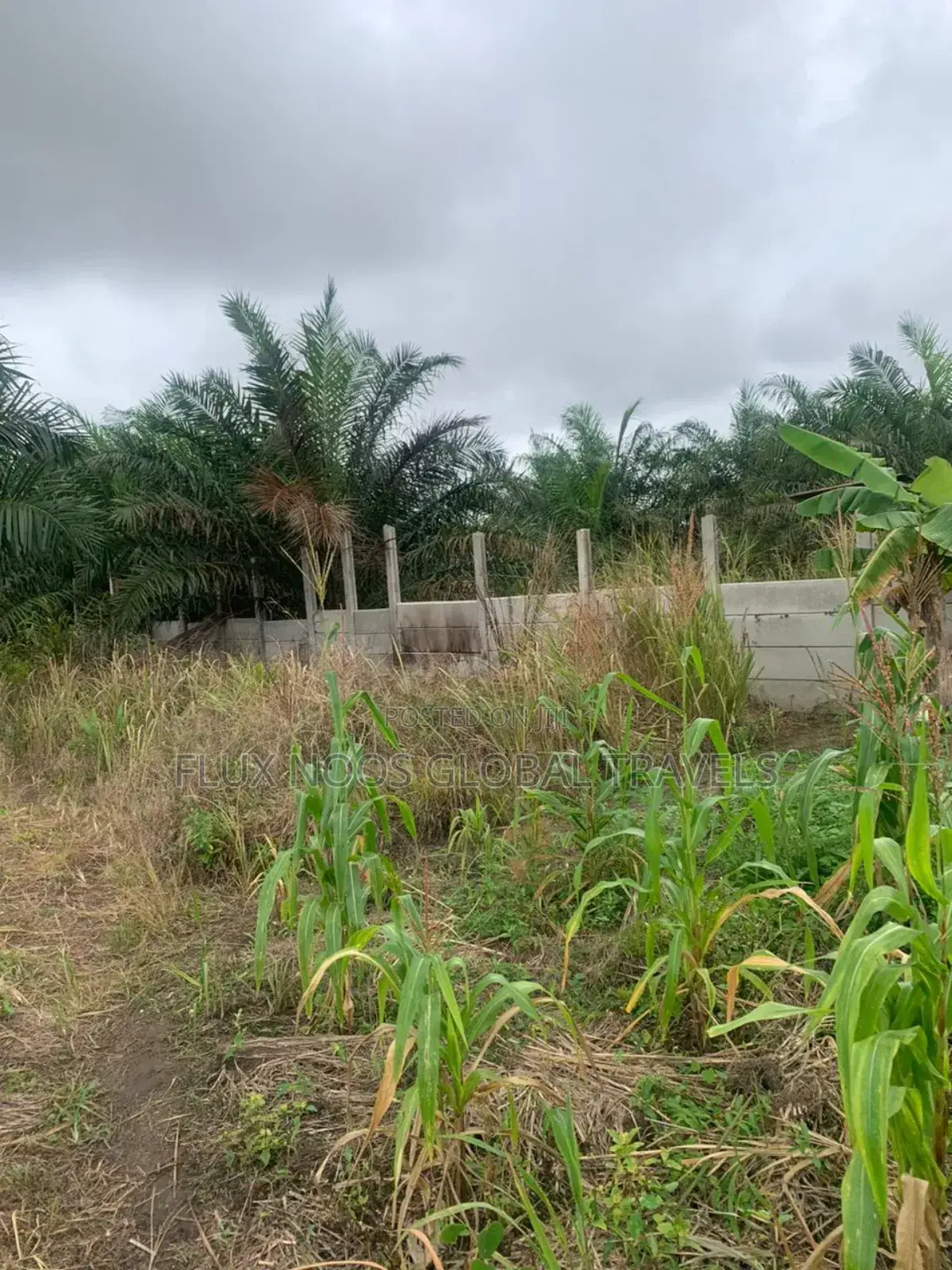No Litigation Land Amasaman Land for Sale.