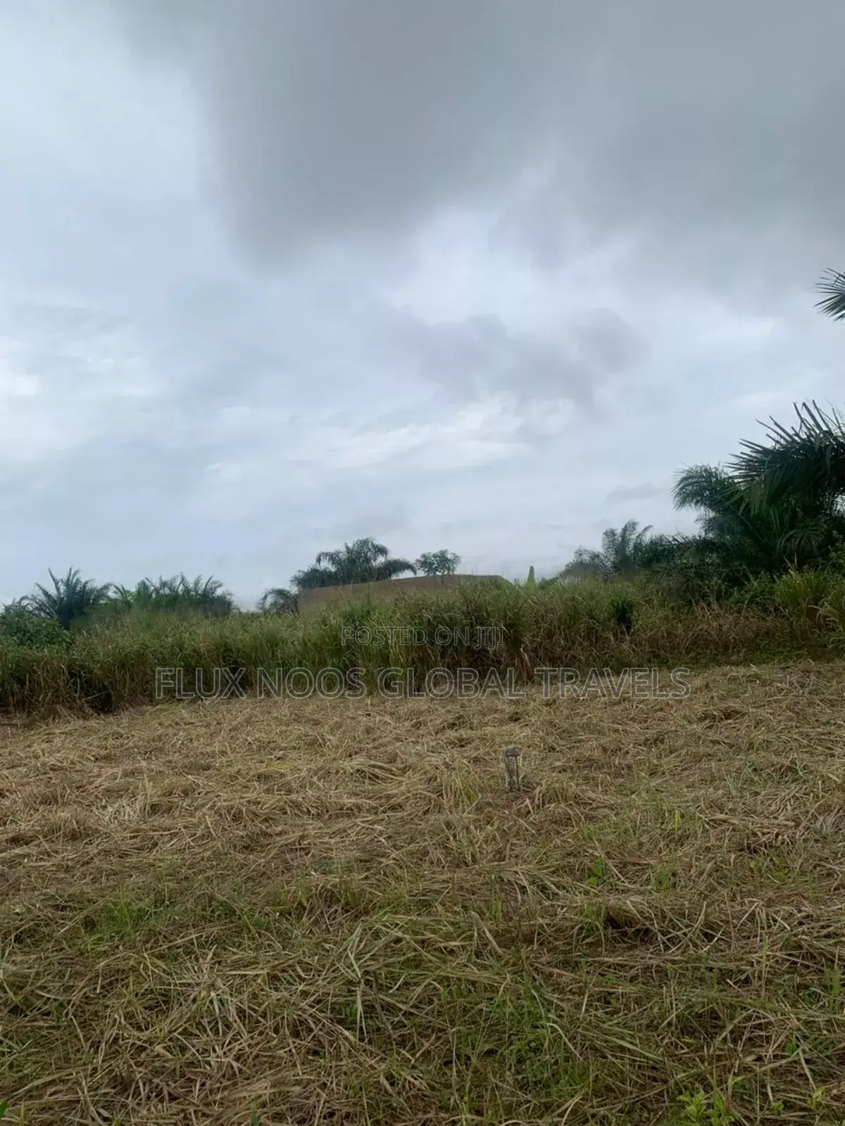 No Litigation Land Amasaman Land for Sale.