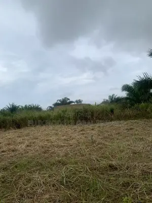 No Litigation Land Amasaman Land for Sale.