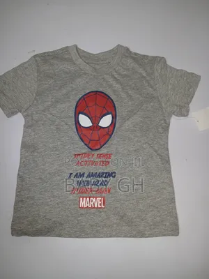 Boys Round Neck Spiderman T-Shirt