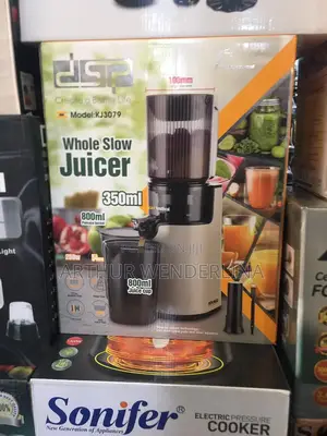 DSP KJ3079 Slow Juicer Whole Fruit Juicer 250W